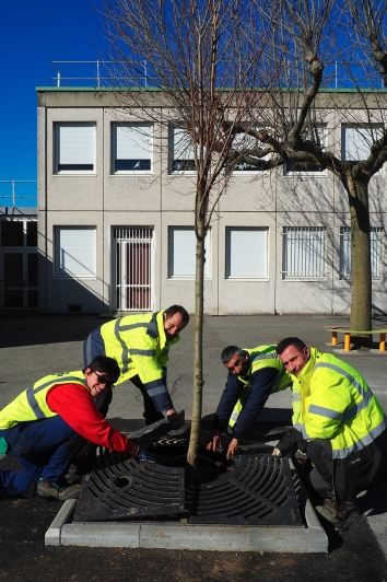 Plantations à l'école Voltaire