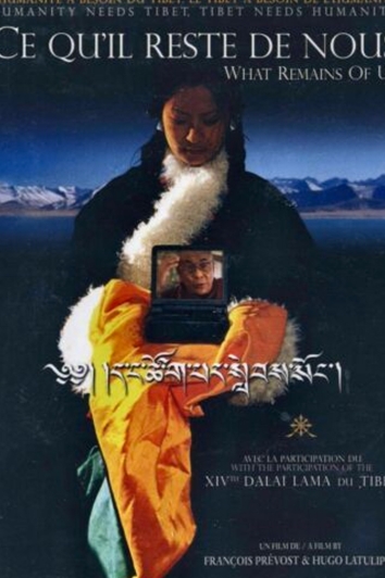 Affiche : Ce qu'il reste de nous (VO)