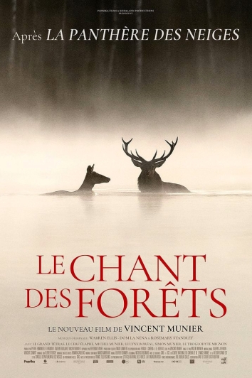 Affiche : Le chant des forêts