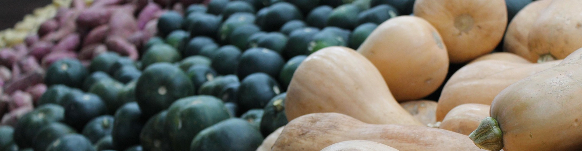 Epicerie solidaire