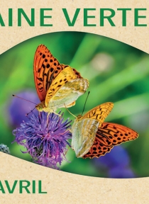 Programme semaine verte 2026