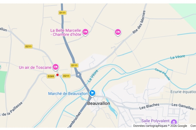 Absence dangereuse de visibilité au stop à la sortie de PLV du fait de la végétation