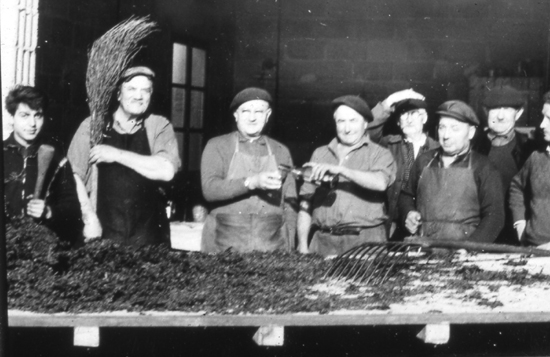 Après les vendanges