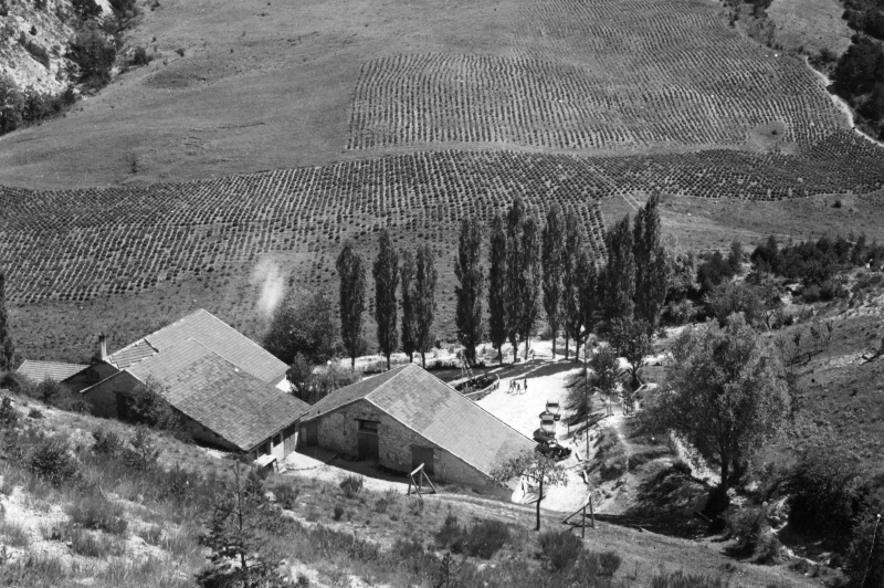 Colonie de Boulc