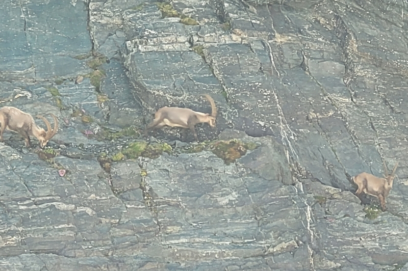 Le JCP à la Croix de Belledonne