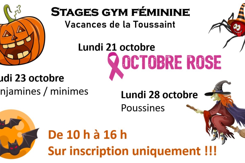 Gym féminine : journées de stage