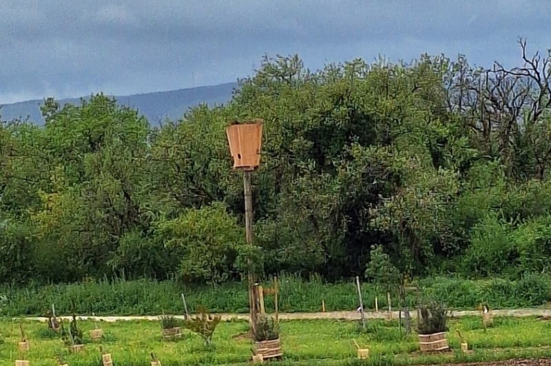 Inauguration de l'l'Arboretum