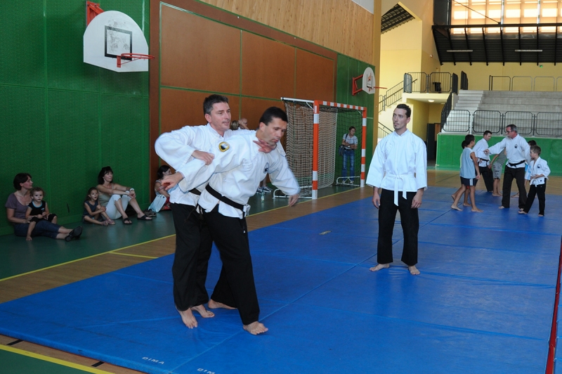 Sport pour tous : démonstration de viet vu dao