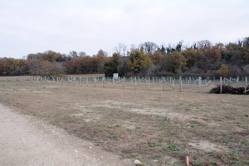 Création des jardins partagés