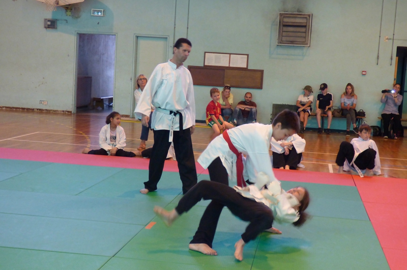 Tournoi de viet vu dao