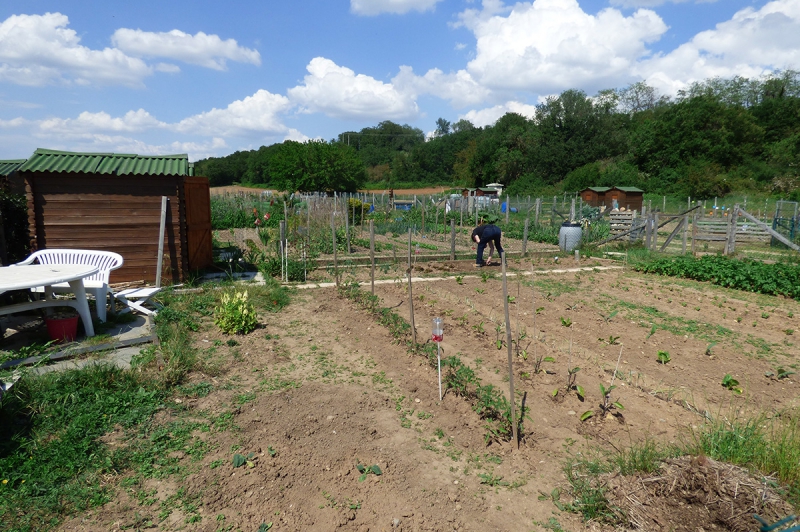 Les jardins partagés