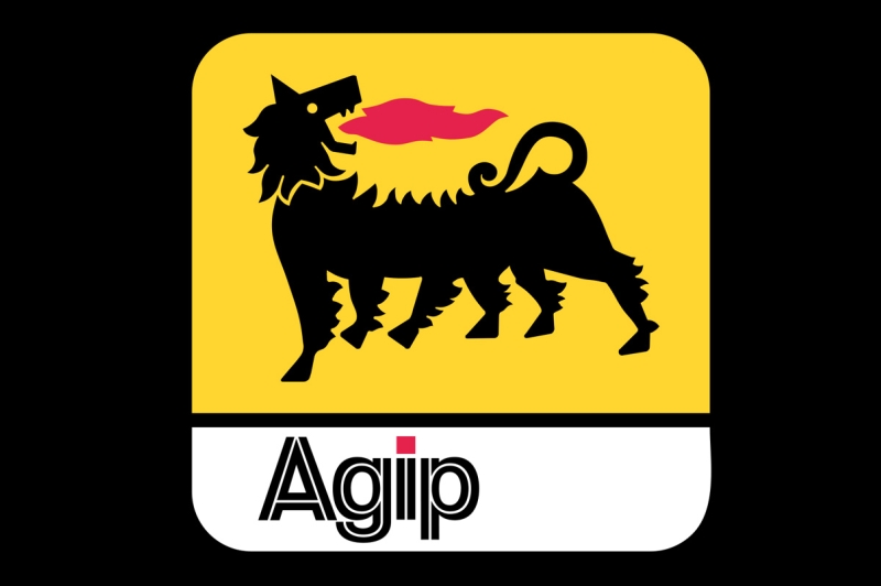 Station Service AGIP France