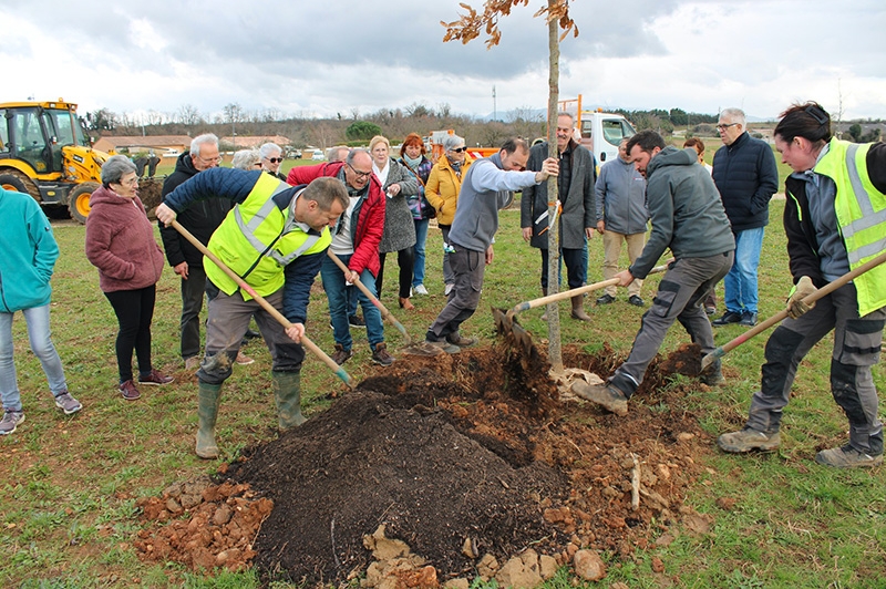 Le club Croizat plante un arbre