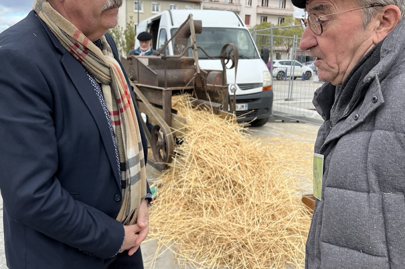 Une belle journée verte ! ( atelier-pain)