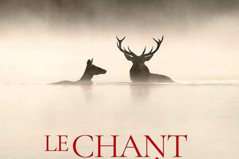 Le chant des forêts