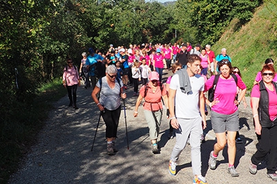 La vie en octobre rose !