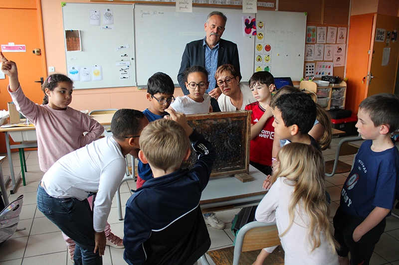 Apiculteur à l'école Voltaire