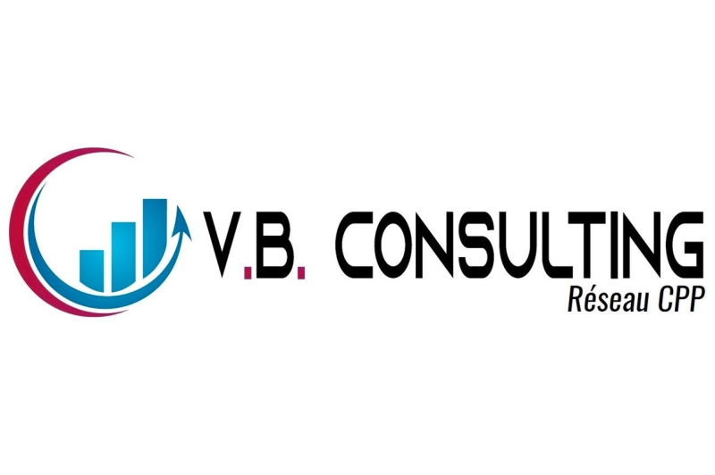 VINCENT BAILLEUL CONSULTING