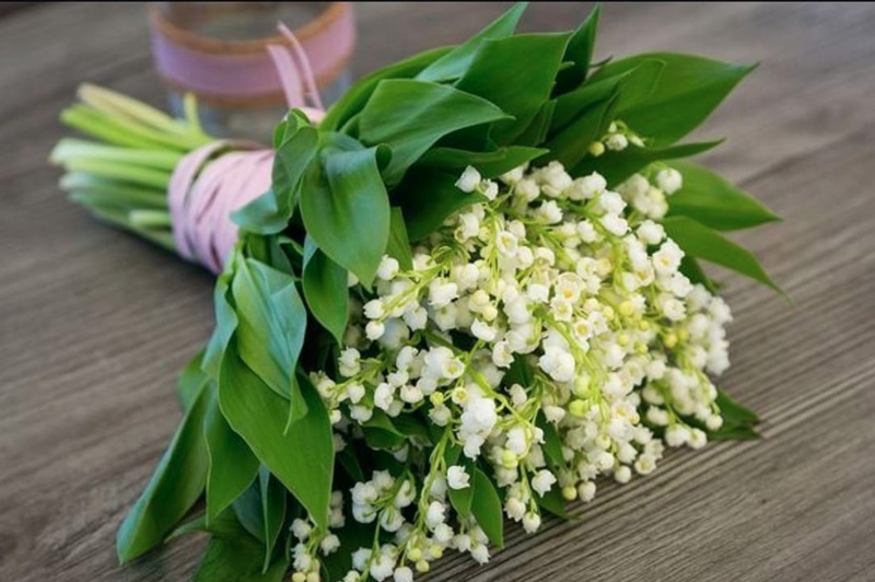 Fleuriste Violette