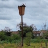 Des colocations pour oiseaux !