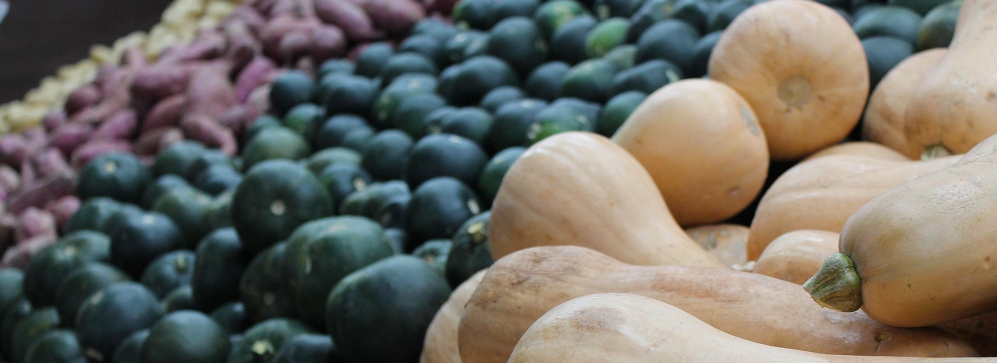 Epicerie solidaire