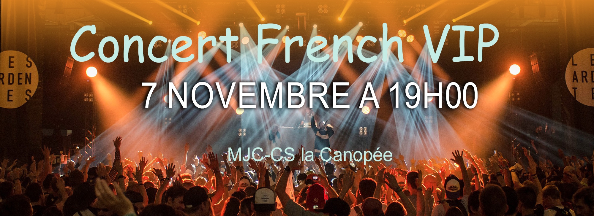 Concert french vip