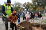 3080 arbres « gardiens d’une ville saine »