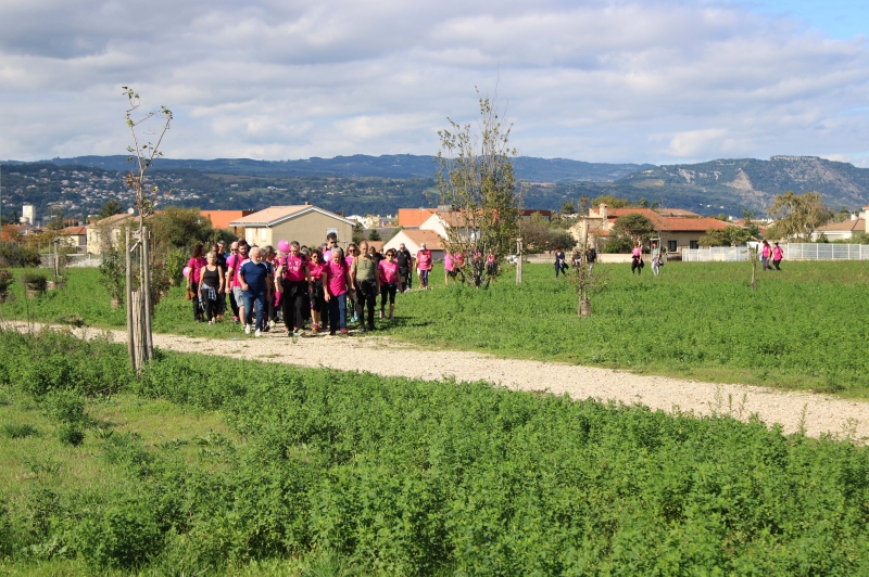 La marche rose