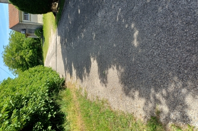 Végétation debordant sur la route