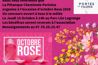 Tournoi de pétanque