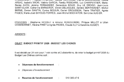 Délibération CM du 03/02/2026 - Budget primitif Chênes