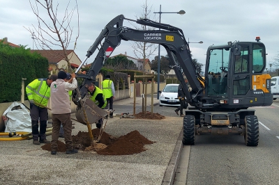 Plantations rue Pasteur