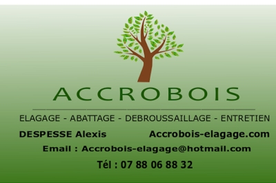 Accrobois