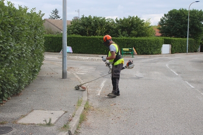 Désherbez votre trottoir