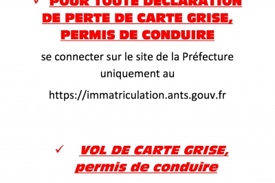 Perte ou vol de carte grise